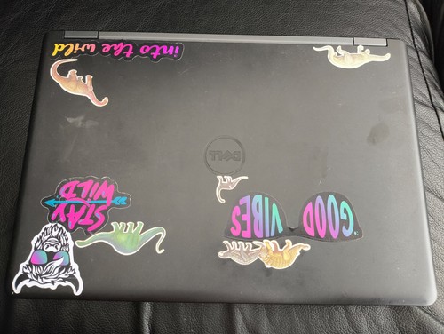 Job lot dell latitude - dell,